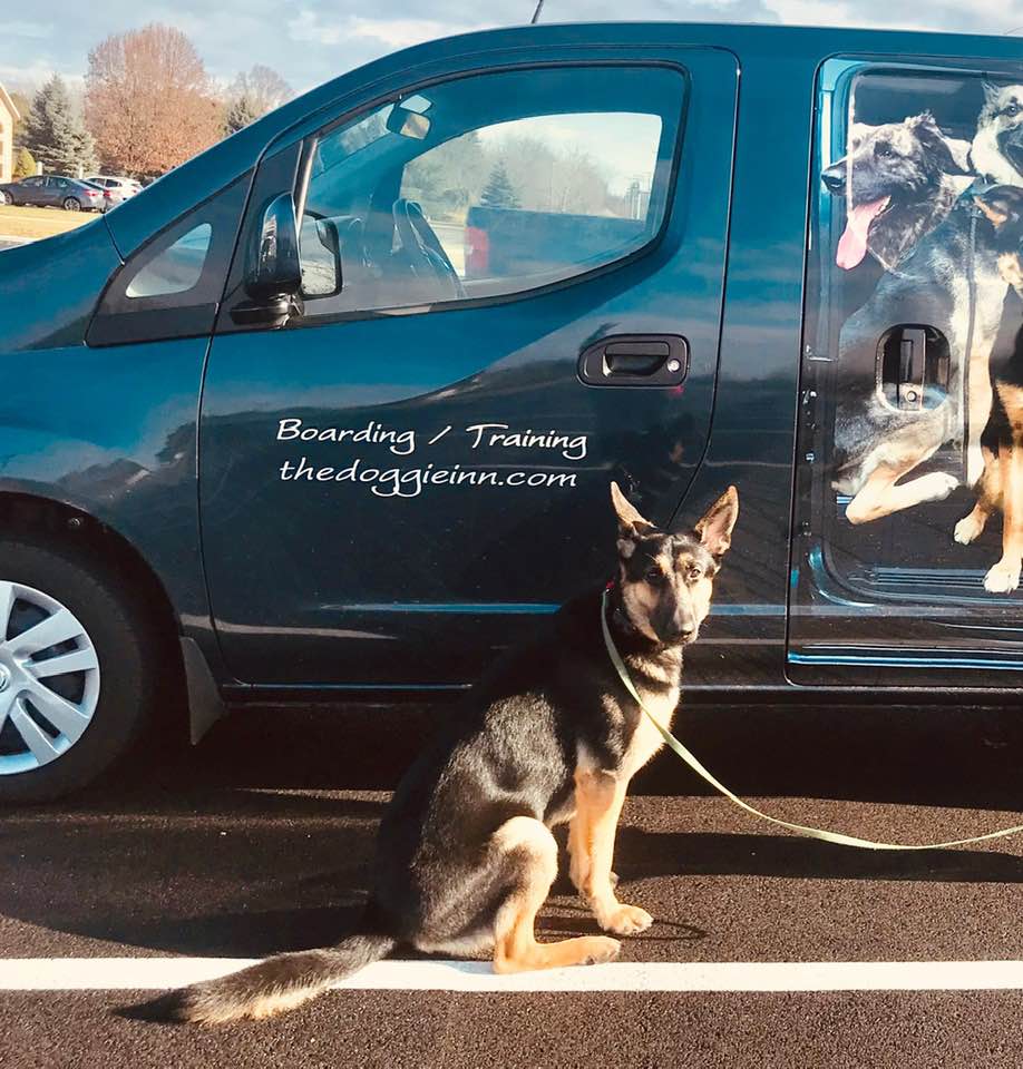 The Doggie Inn Grafton's Premier Dog Boarding & Training Facility